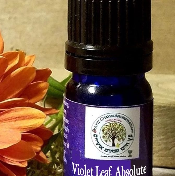 Violet Leaf Absolute Blend 5ml Rare Essential oil 3% Jajoba Oil