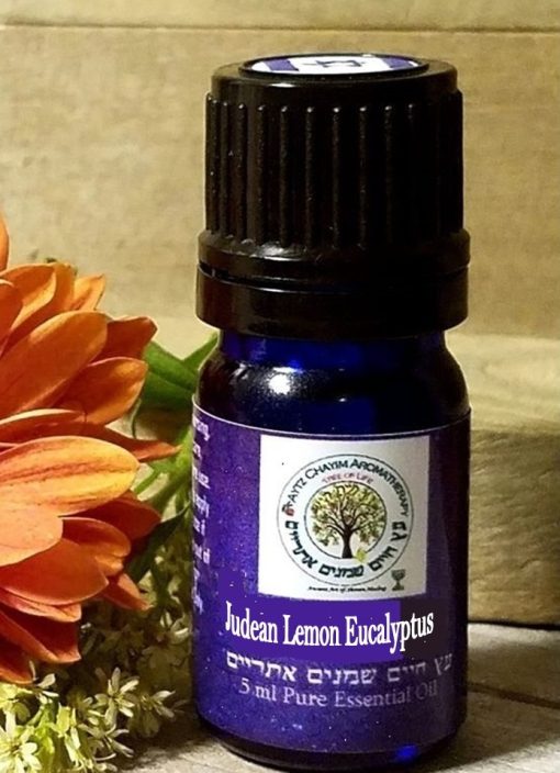 Judean Lemon Eucalyptus (Organic) 10 ml ISRAEL שמן אקליפטוס לימוני