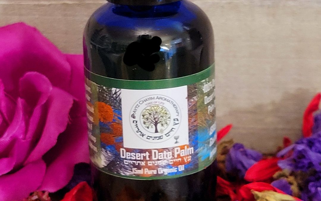 Judean Desert Date Palm Oil- A sukkot Favorite! 15ml