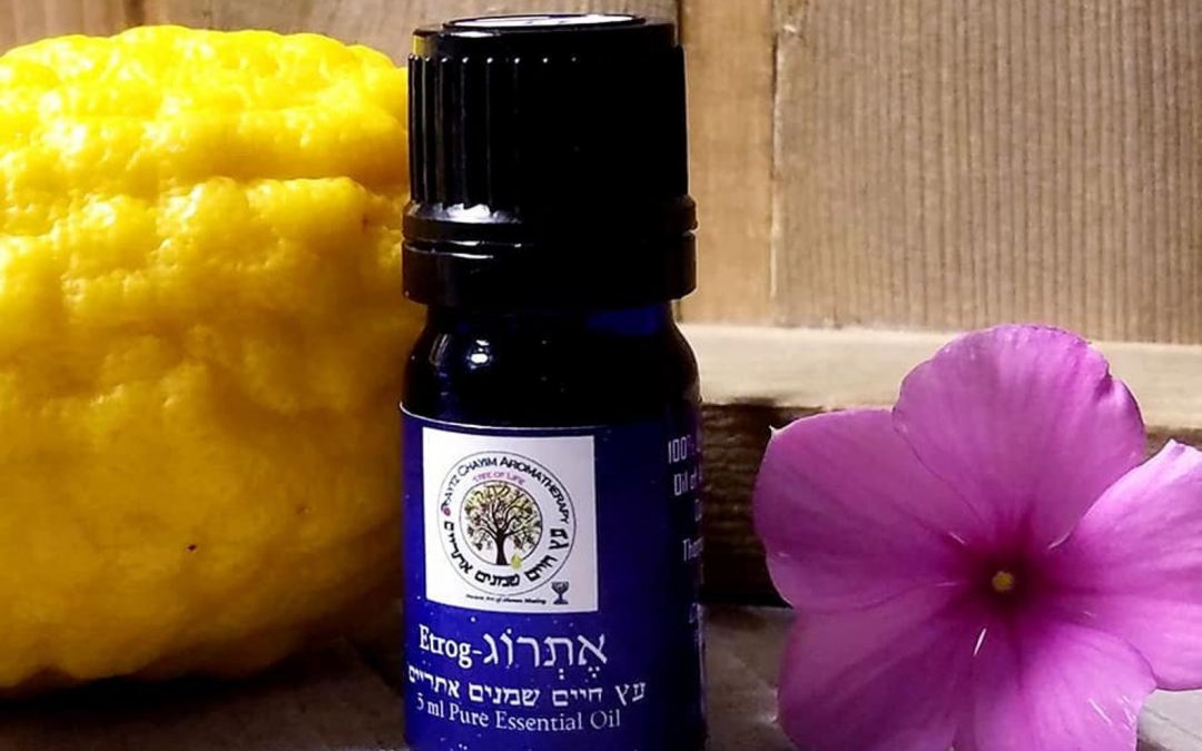 Etrog Citron© (Heb. אֶתְרוֹג) Esrog Organic High Quality Essential Oil ISRAEL – 5ml. A Sukkot favorite!