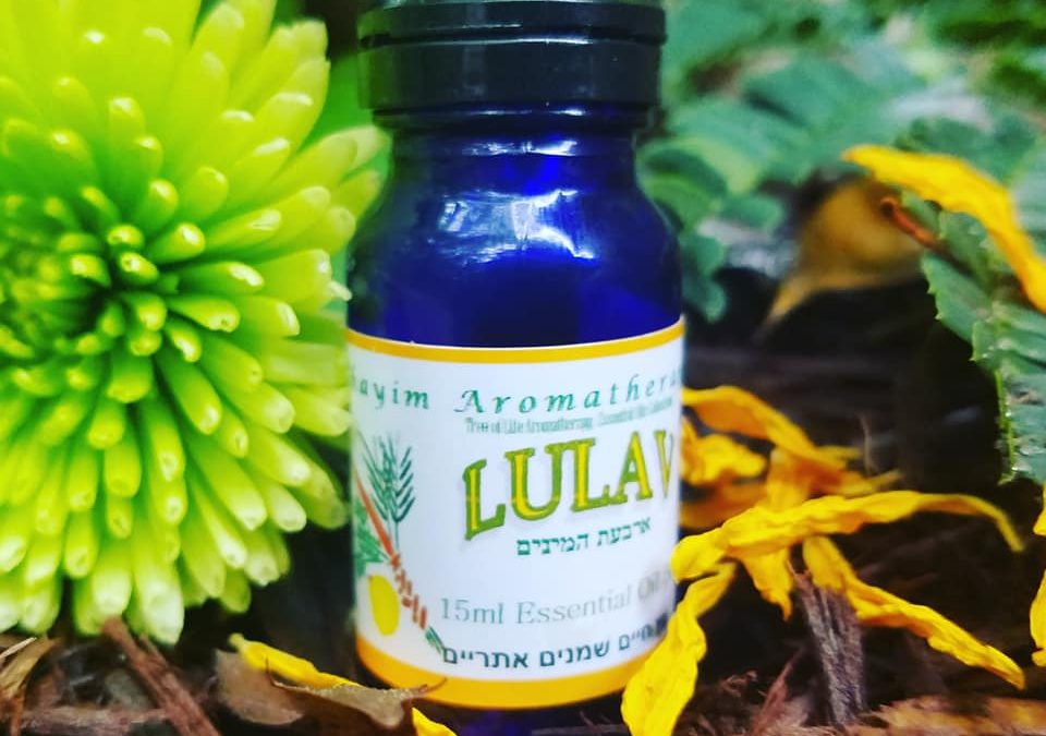 LULAV®™ Essential Oil Blend-Sukkot Arba’at Ha-Minim Chose 10ml or 15ml Size Top Seller!