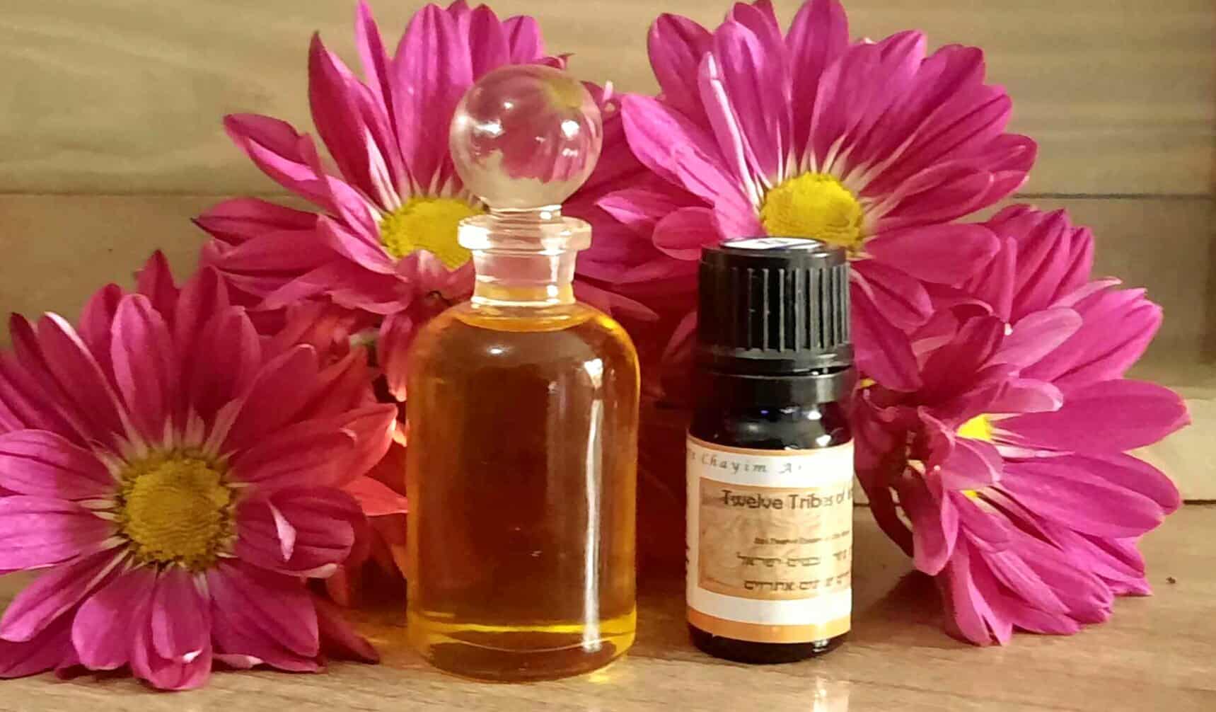 Shevtim Tribes- Twelve Tribes®™ Essential oil Blend Shevtim Yisroel 10ml - Image 2