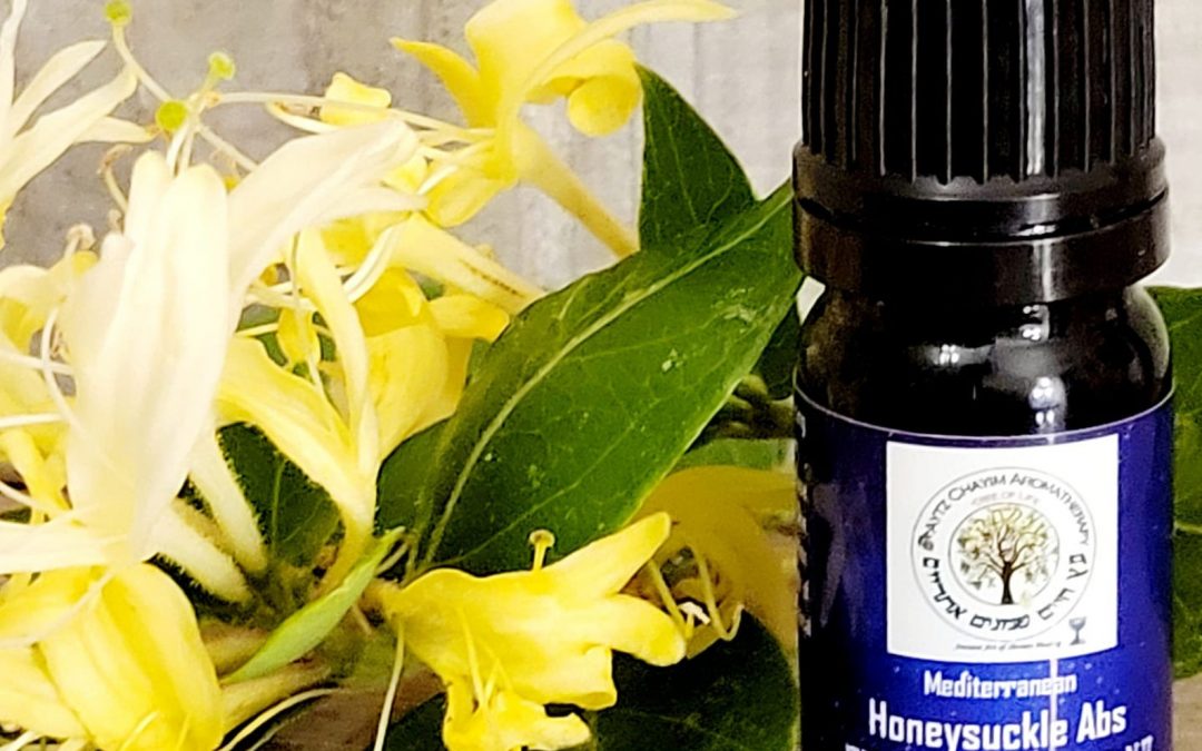 Mediterranean Honeysuckle Absolute Essential Oil -5ml Natural Ethanolic extraction of the concrete