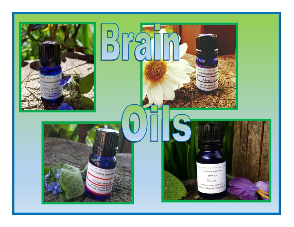 What Oils can be used to balance your Emotions? Aytz Chayim Aromatherapy