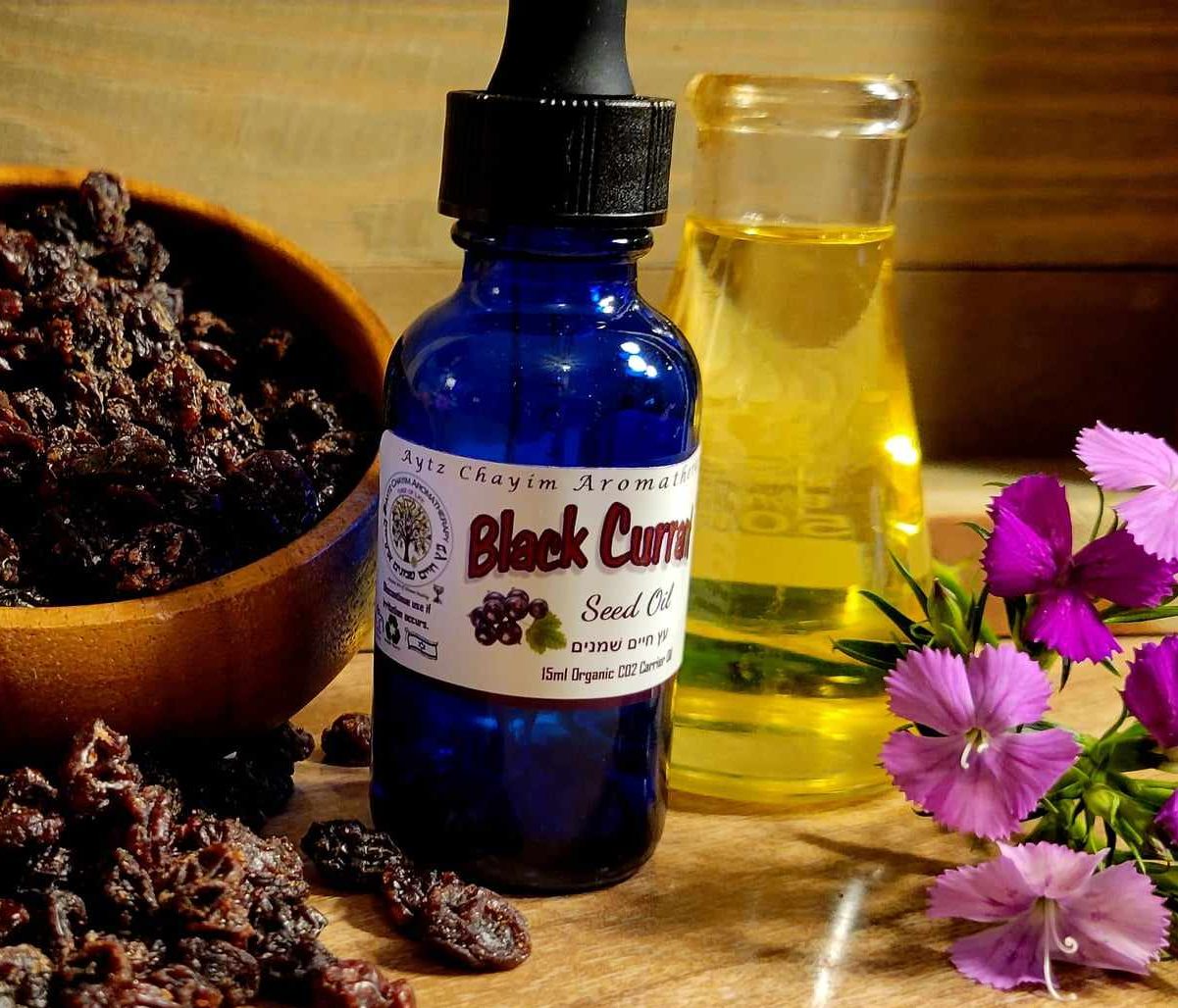 Black Currant Seed CO2 Carrier Oil 15ml with dropper top Aytz Chayim