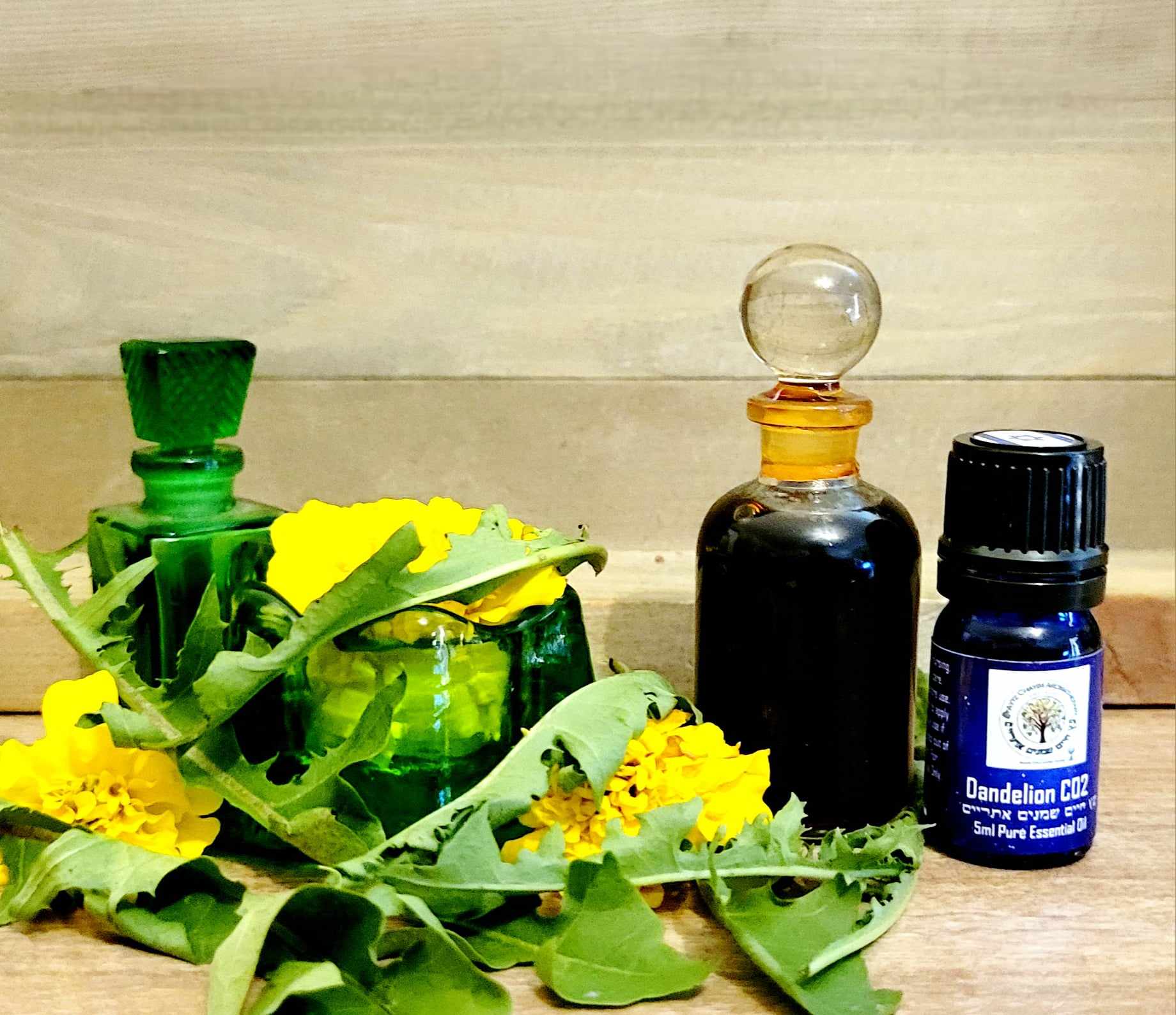 Dandelion CO2 High Quality Essential Oil 2ml