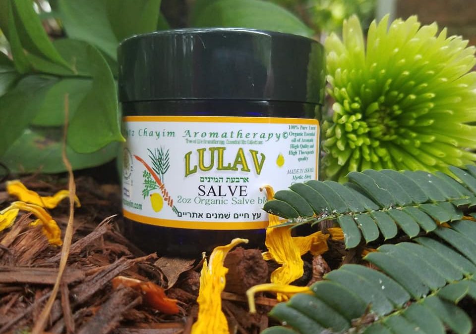 Lulav®™  our Sukkot Hemp Butter Salve®™  ארבעת המינים‎ Arba’at Ha-Minim Four plants of sukkot blended together in Hemp& Date Palm oil BACK BY POPULAR DEMAND!!!