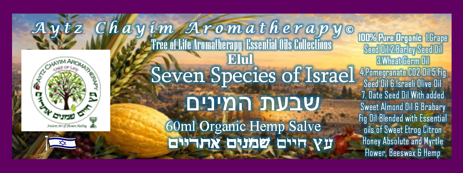 Seven Species of Israel®™ SALVE 2oz -Shiv'at HaMinim Eretz Yisroel שבעת המינים - Image 2