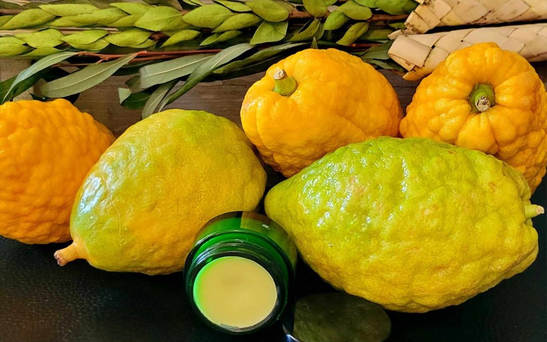 Sukkot Beard Balm 2oz Special Festival of Thanksgiving and Joy Comes with Beard Olive Wood Comb-ISRAEL
