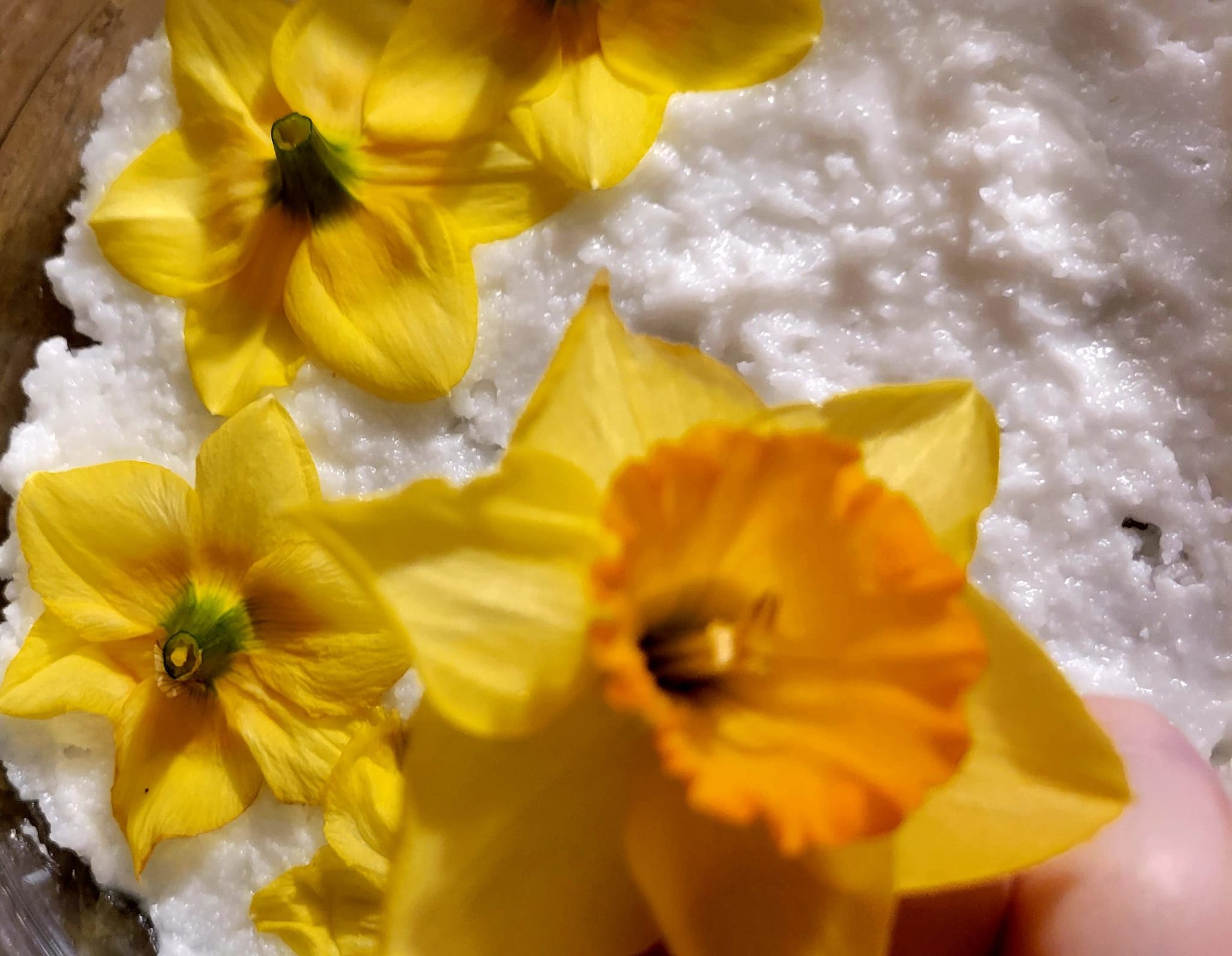 Jonquil Enfleurage Maceration Essential Oil Daffodil (Narcissus) 5ml - Image 2