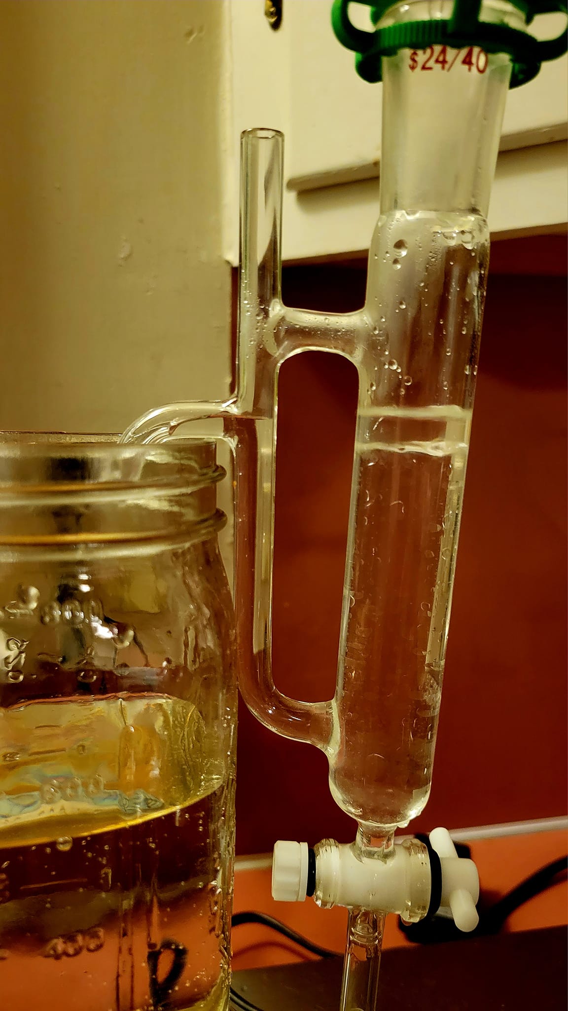 Pomelo Hydrosol פומלו Organic -50ml From ISRAEL- Rare - Image 4