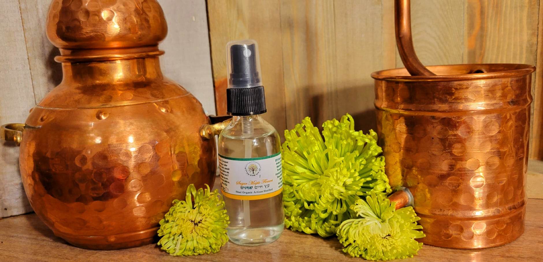 Sugar Maple Flower Hydrosol 50ml Rare Artisan Distilled (Acer saccharum) - Image 2
