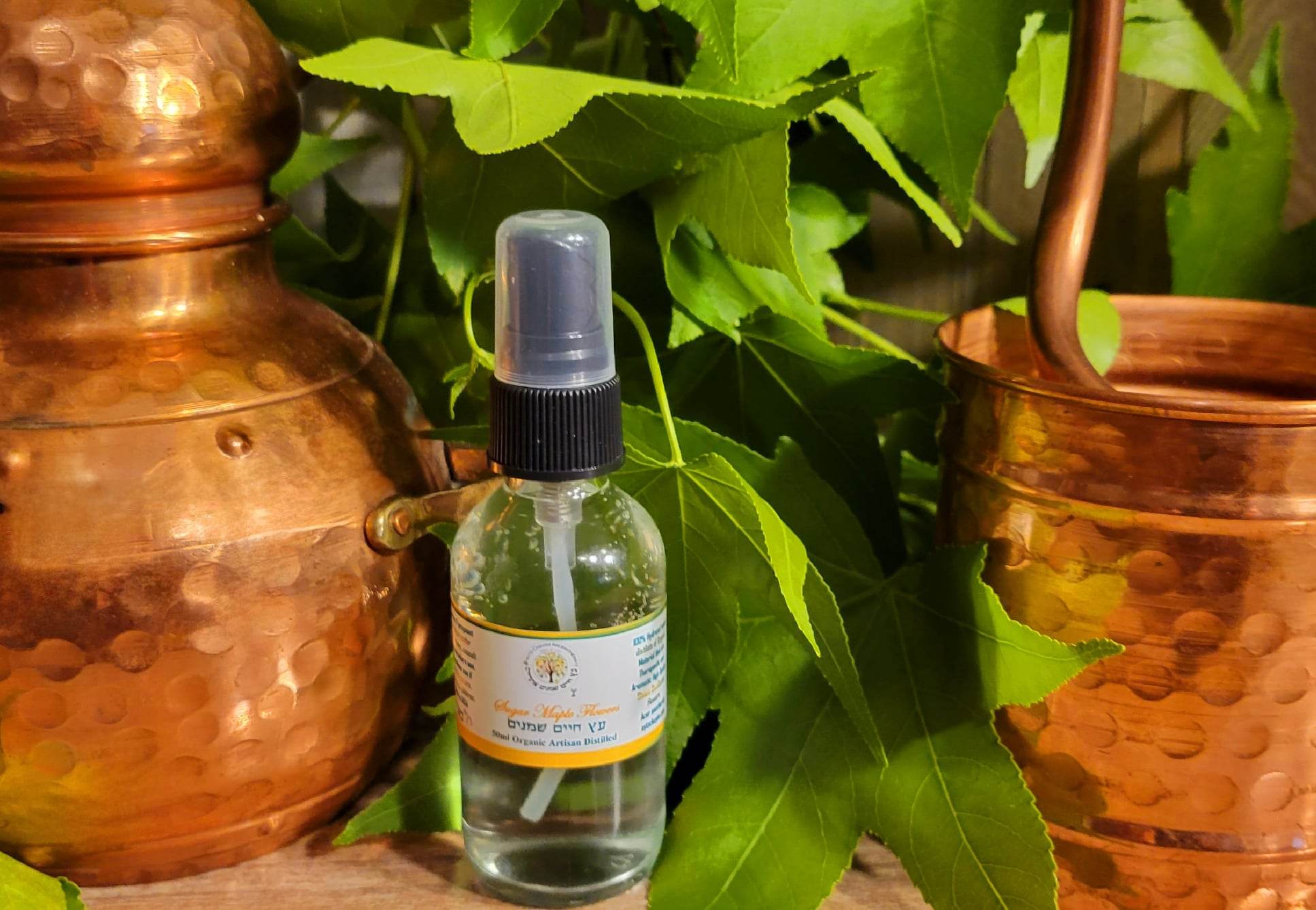 Sugar Maple Flower Hydrosol 50ml Rare Artisan Distilled (Acer saccharum) - Image 4