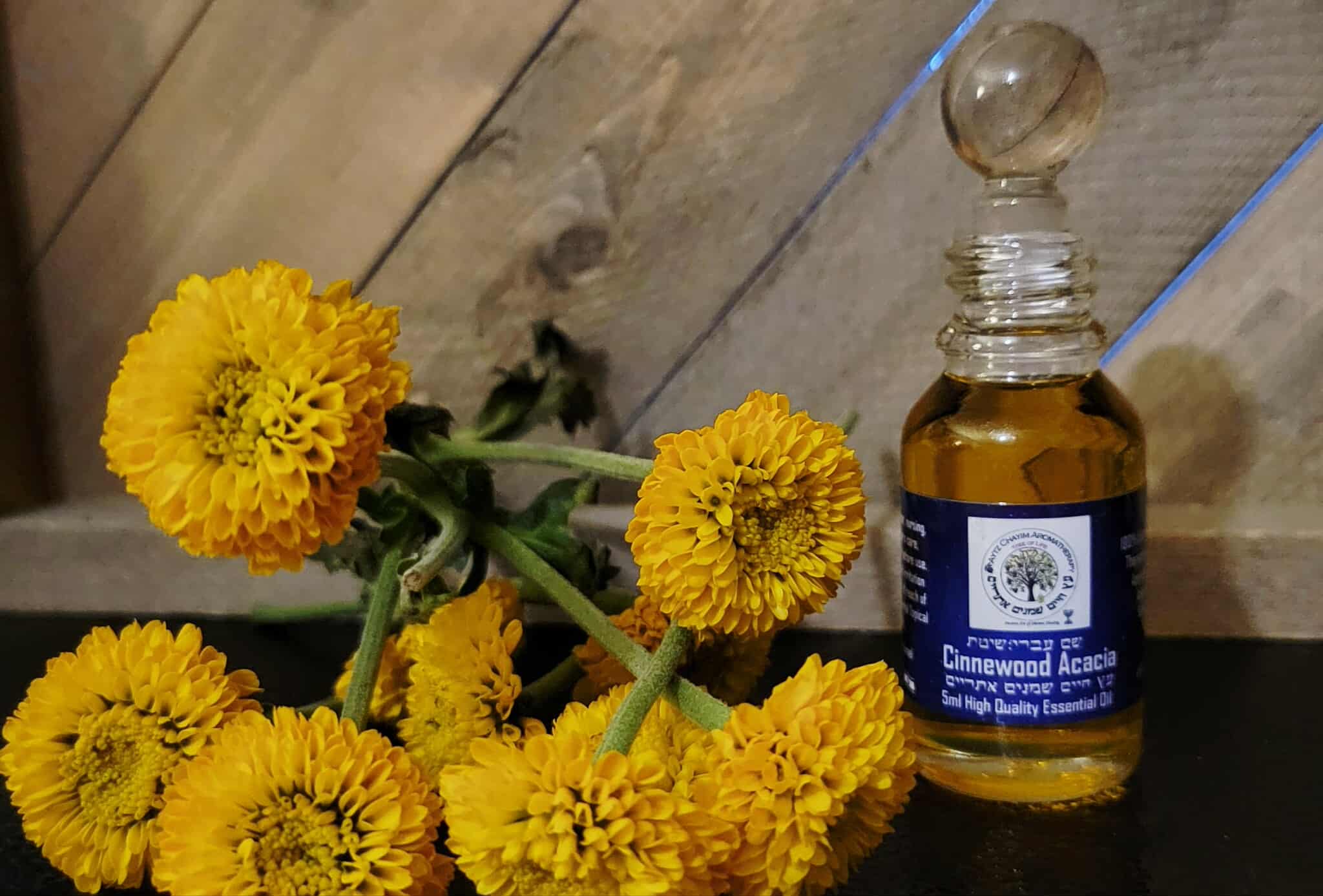 Cinnewood Acacia  Absolute High Quality Essential Oil 2ml