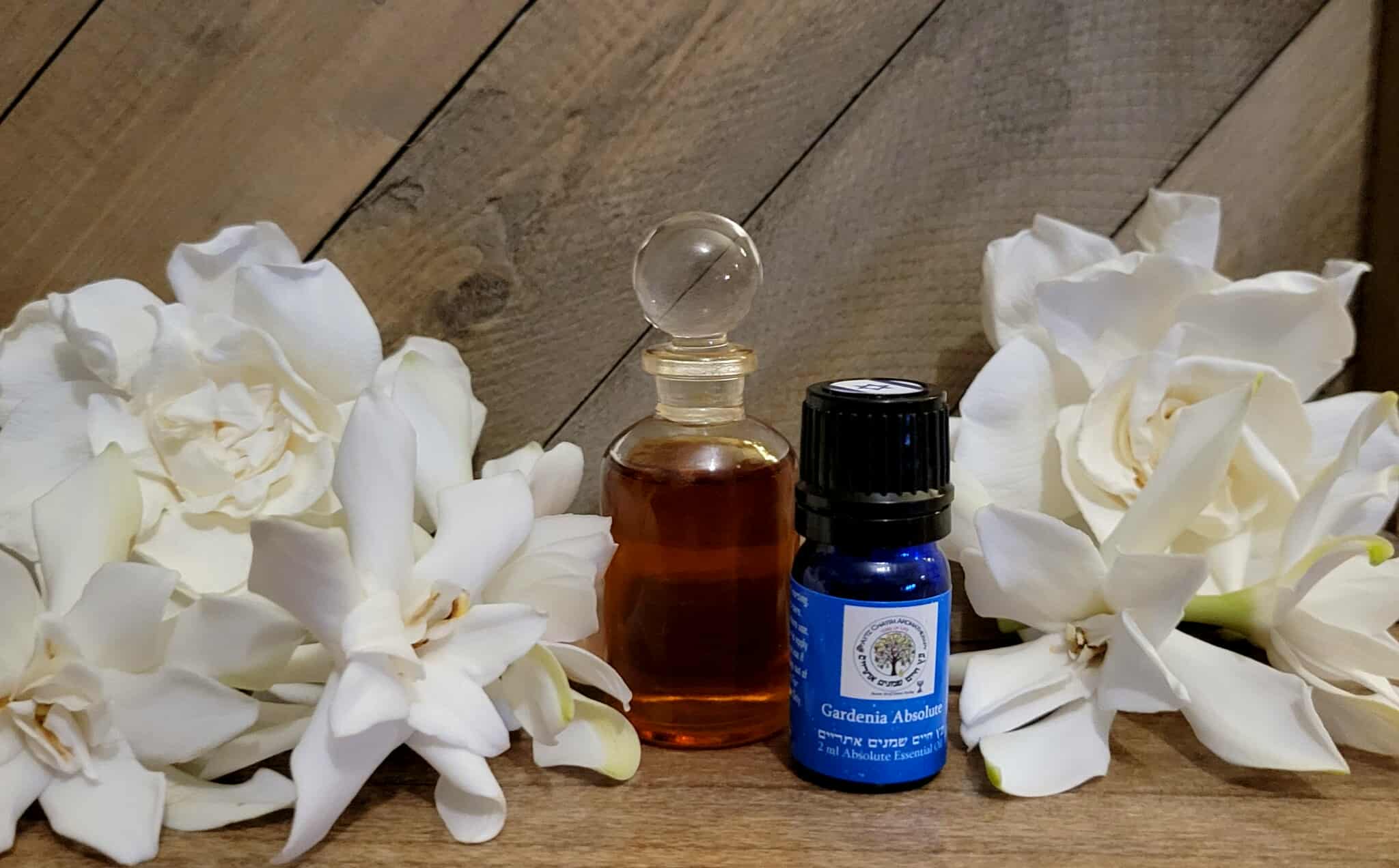 Gardenia Absolute 2ml High Quality Essential Oil Solvent Extracted Extremely RARE