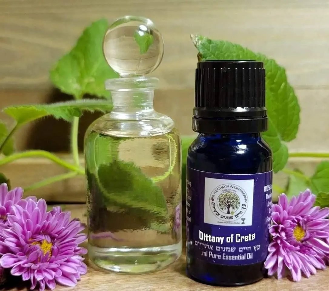 Dittany of Crete High Quality Essential Oil 2ml Extremely Rare