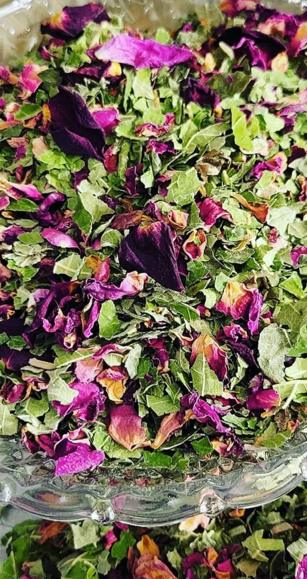 Fig and Rose Tea - Aytz Chayim Aromatherapy