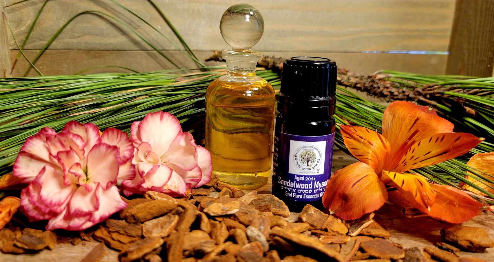 East Indian Aged Sandalwood Mysore High Quality Essential Oil 5ml Beautifully Aged 2014 Distillation Comes in Miron Bottle - Image 6