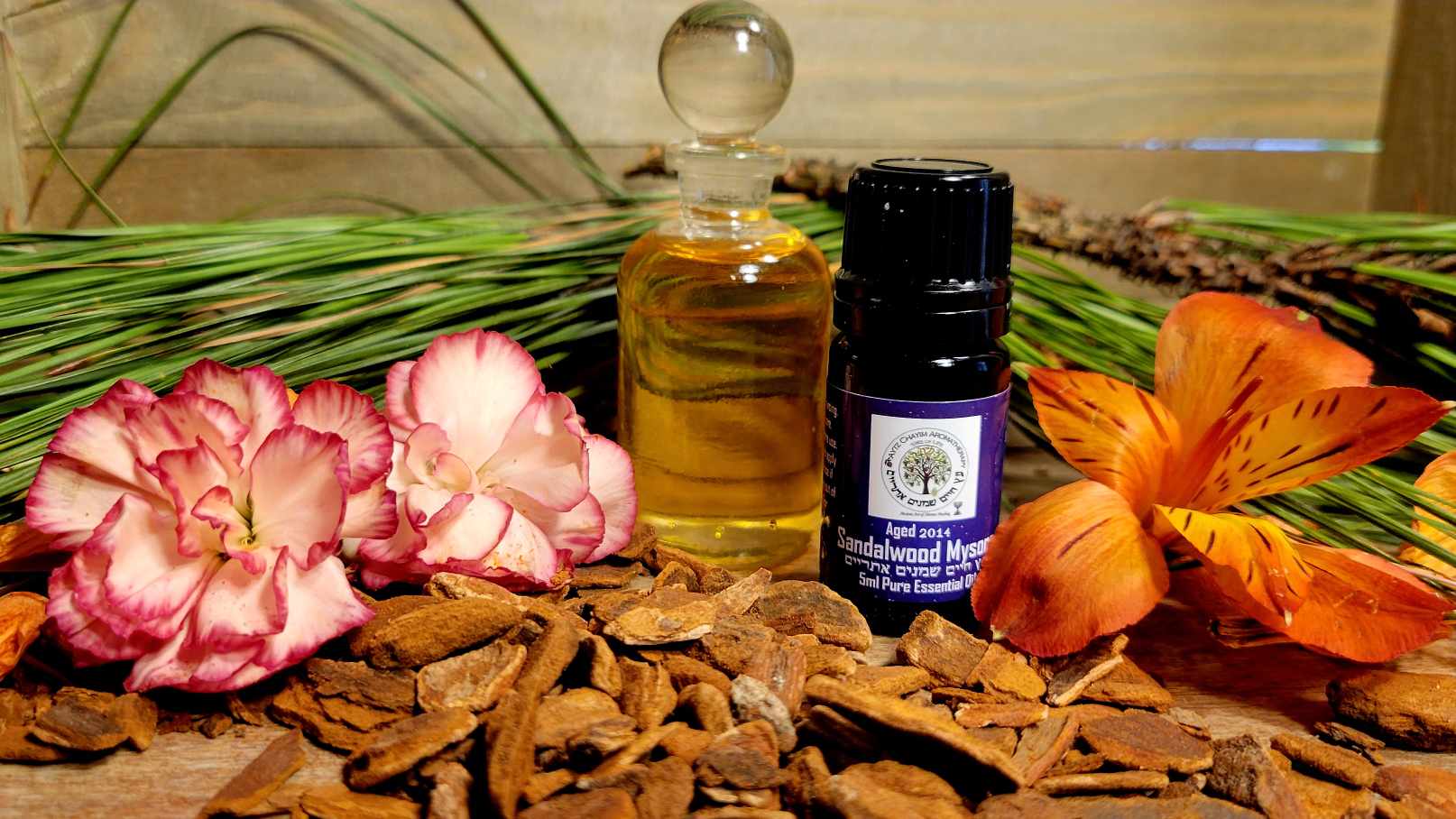 East Indian Aged Sandalwood Mysore High Quality Essential Oil 5ml Beautifully Aged 2014 Distillation Comes in Miron Bottle - Image 3