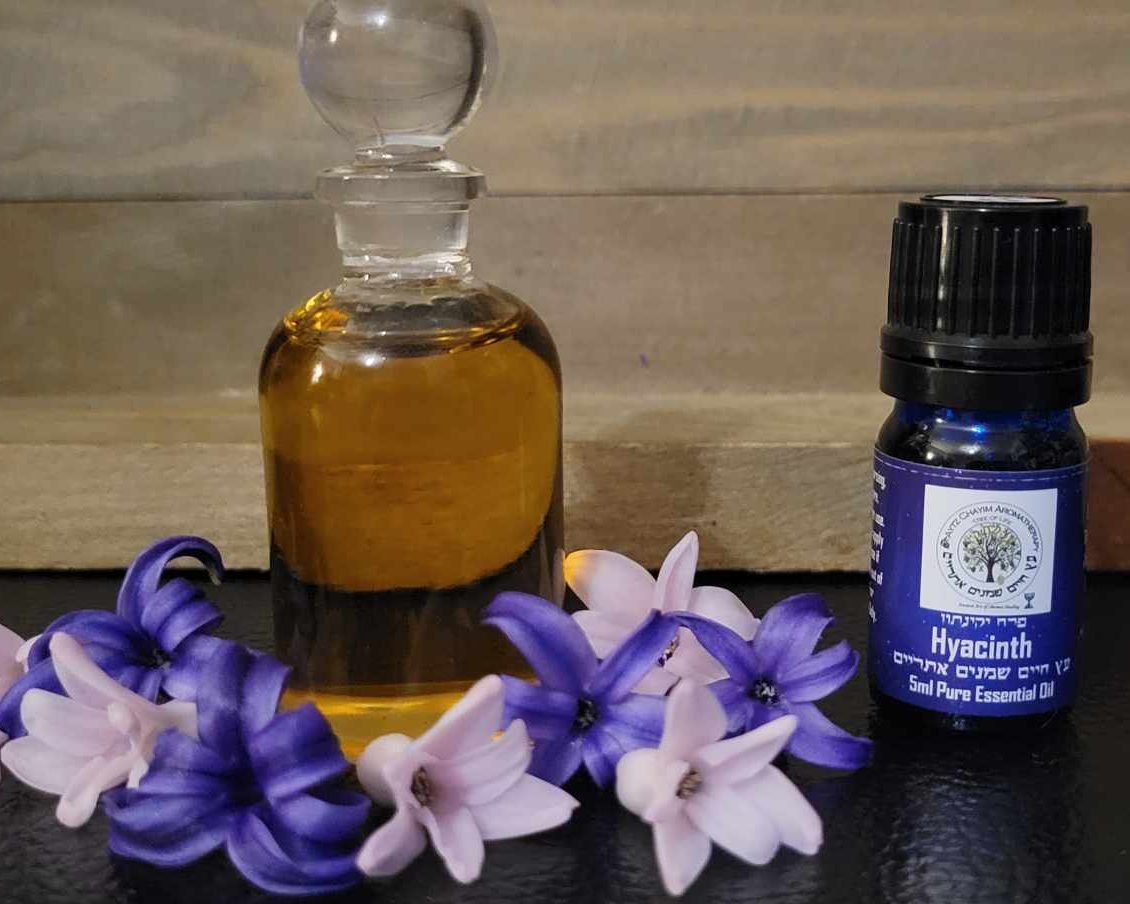 Hyacinth Absolute High Quality Essential Oil 2ml EXTREMELY RARE יקינתון New Label!