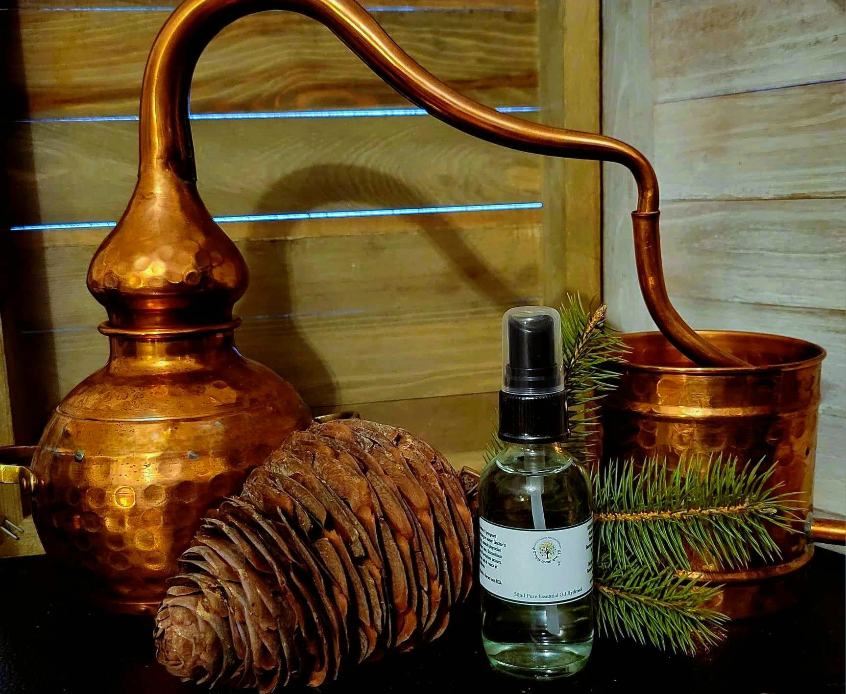 Himalayan Cedarwood Hydrosol 50ml Cedrus deodora