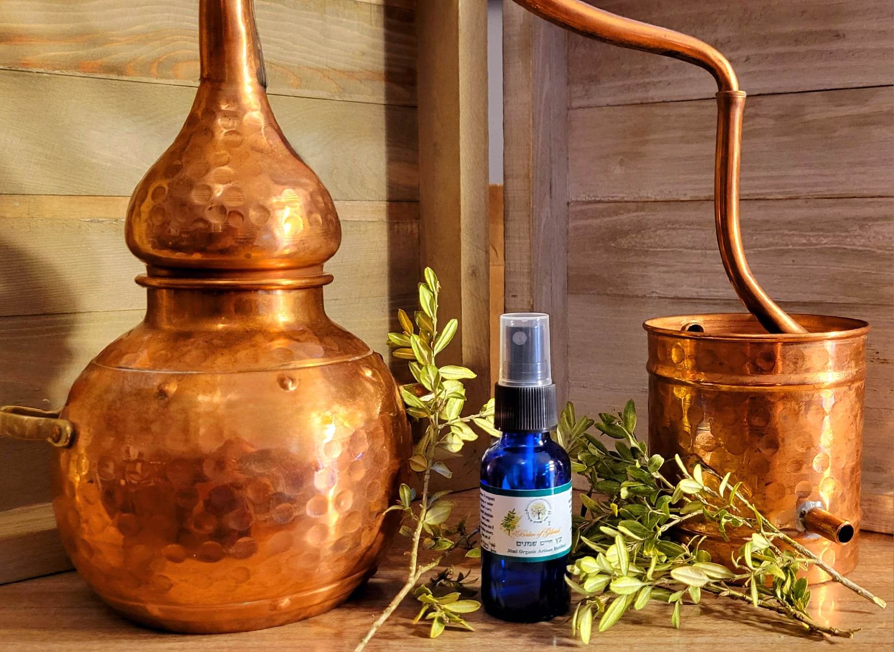 Royal Balm of Gilead 30ml Hydrosol From Israel