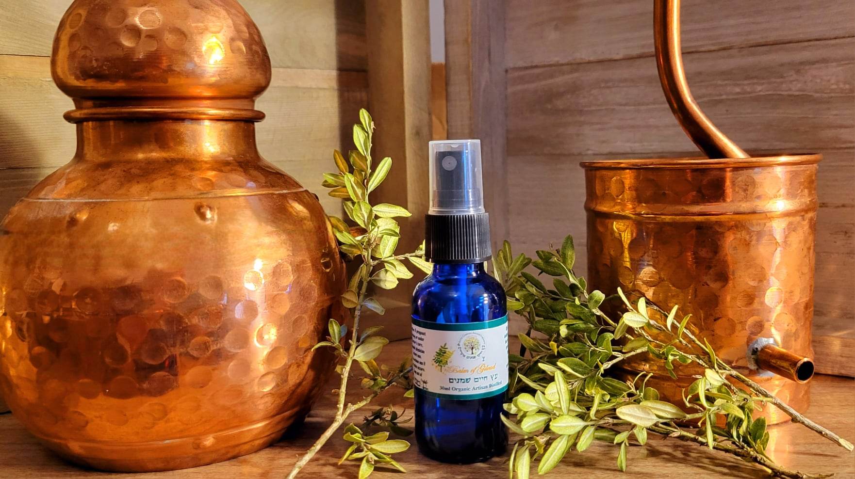 Royal Balm of Gilead 30ml Hydrosol From Israel - Image 7