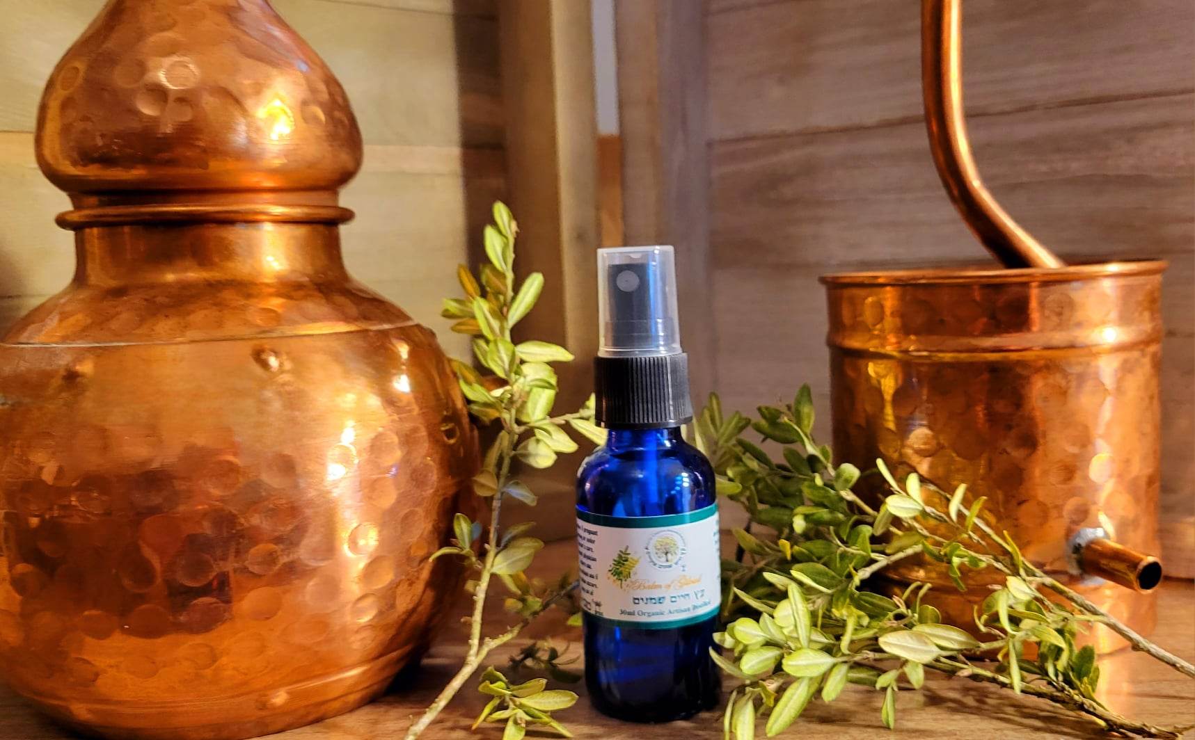 Royal Balm of Gilead 30ml Hydrosol From Israel - Image 5