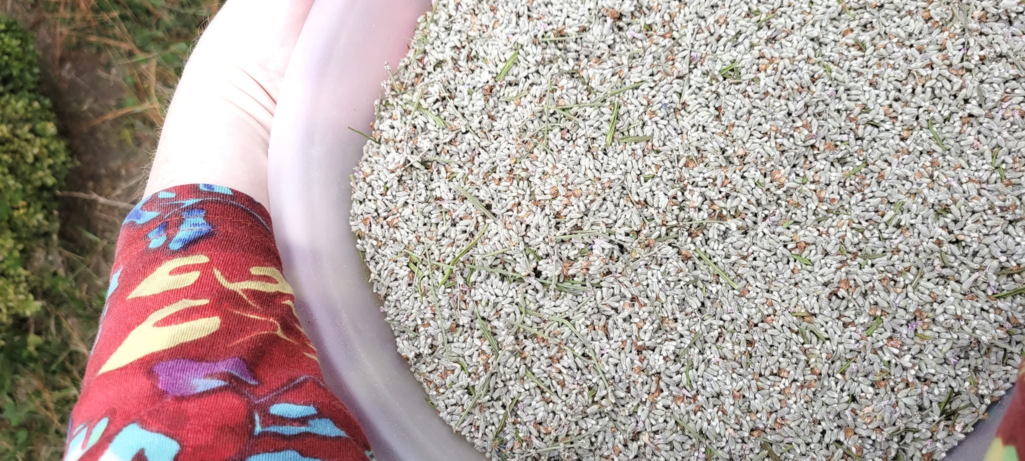 Lavender Flower Powder Extract Nard Flowers 2oz Made in Israel - Image 15