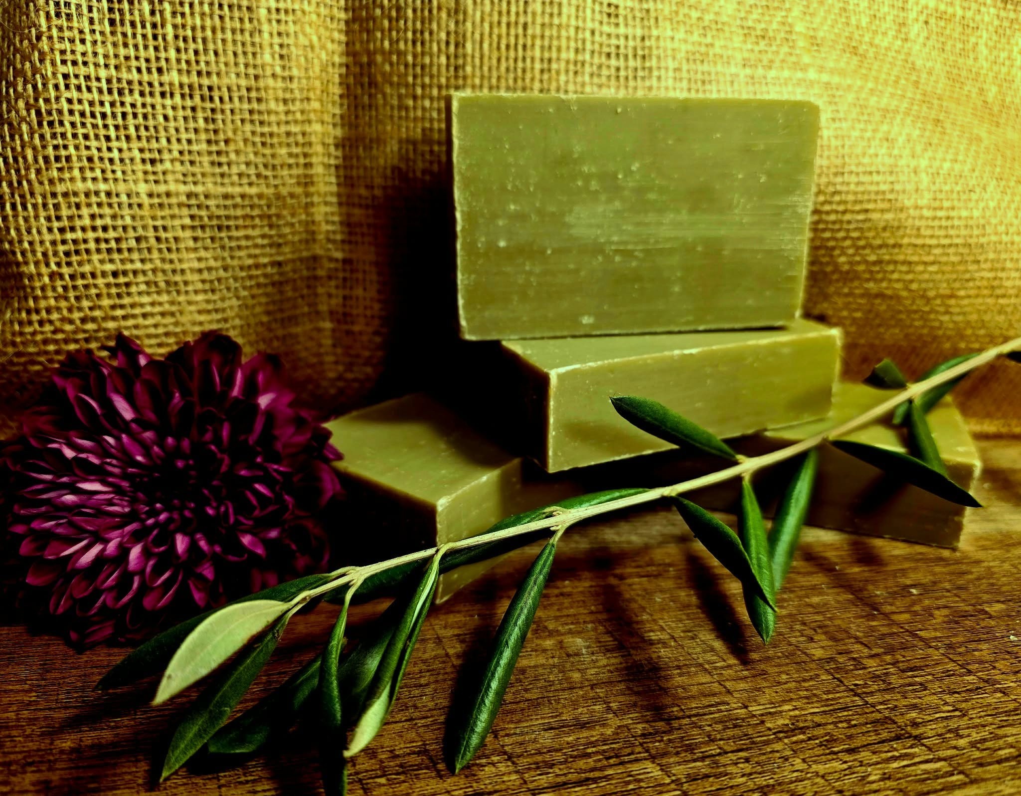 Jerusalem Olive Oil Body Soap Featuring Sweet Laurel Pine and Jerusalem Pine 4.3 oz Made in Holy Land