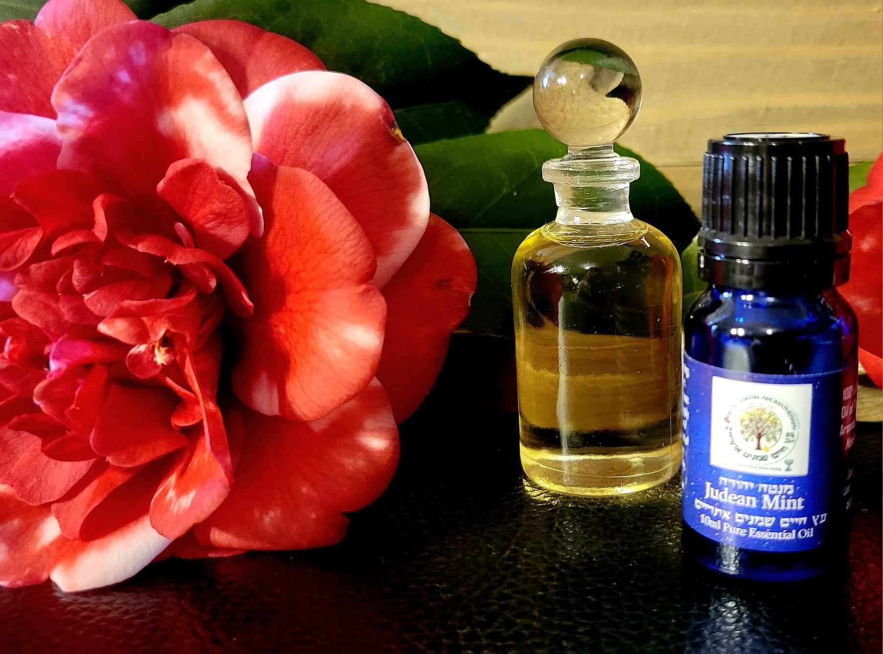Judean Mint (Mentha longifolia) High Quality Essential Oil 10ml - Image 3