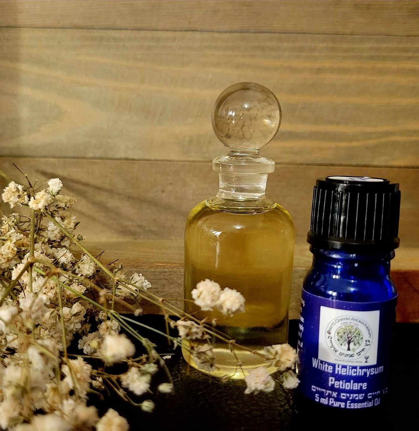 White Helichrysum Petiolare Essential Oil 5ml Extremely Rare