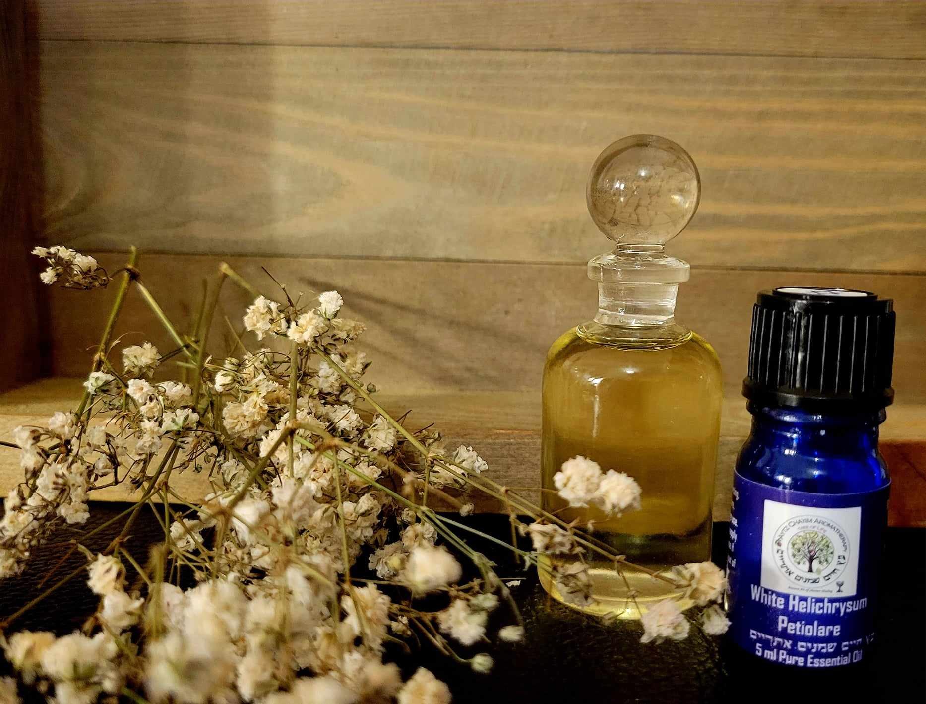 White Helichrysum Petiolare Essential Oil 5ml Extremely Rare - Image 3