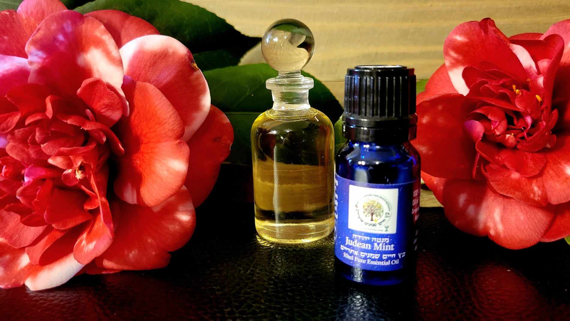 Judean Mint (Mentha longifolia) High Quality Essential Oil 10ml