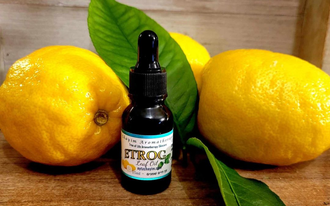 Etrog Citron© Leaf Serum Oil 15ml RARE Beautiful Carrier Oil from ISRAEL