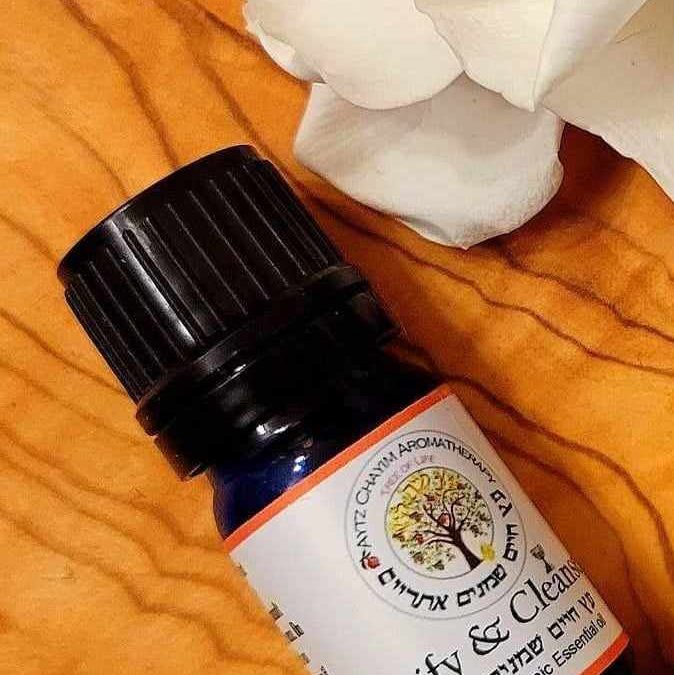 Purify & Cleanse Essential Oil Blend 10ml MADE IN ISRAEL