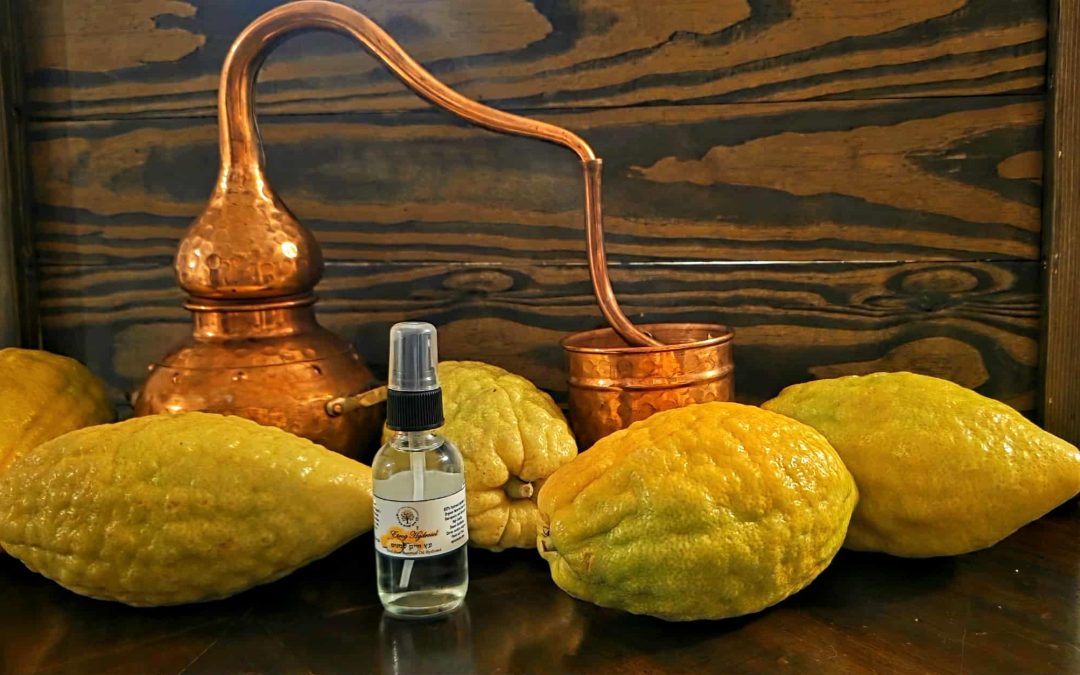 Citron Esrog/Etrog © אתרוג Hydrosol 50ml From Israel Extremely Rare Rare-Supply is Limited