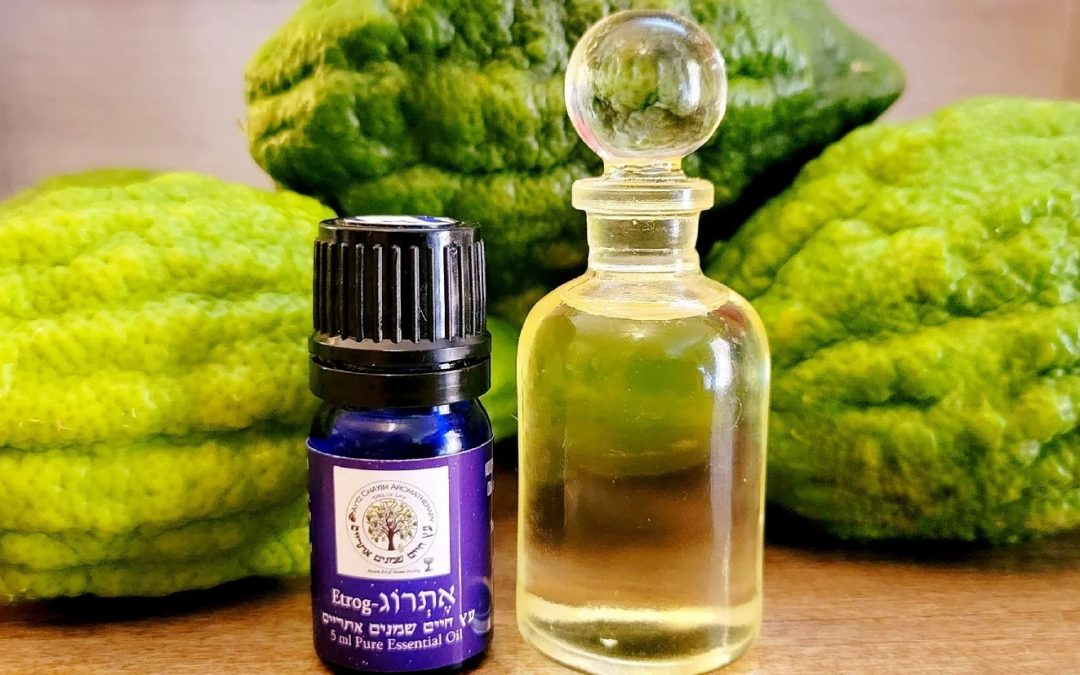 Holy Land Esrog/Etrog Citron© Heart Note (Heb. אֶתְרוֹג) Organic High Quality Essential Oil ISRAEL 5ml. A Sukkot favorite!