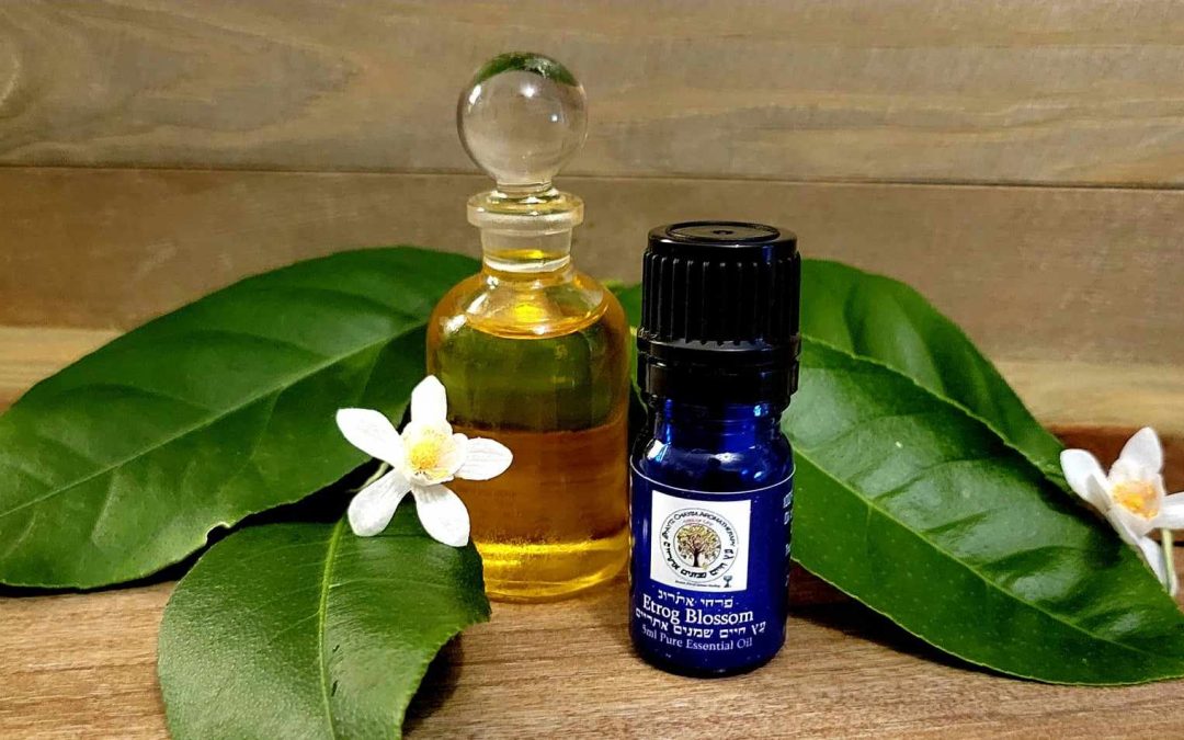 Etrog Citron Blossom High Quality Essential Oil 5ml
