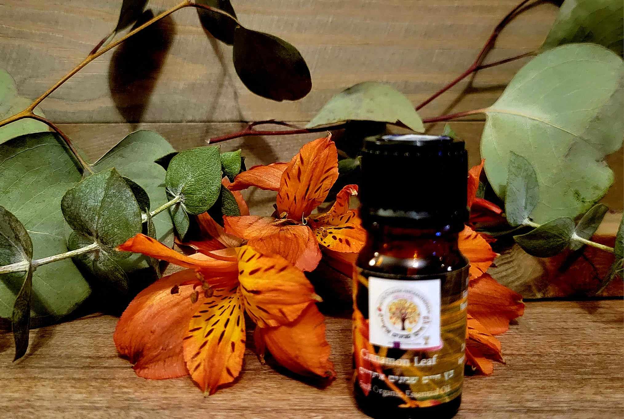 Cinnamon Leaf (Cinnamomum verum) 10ml Organic Essential oil