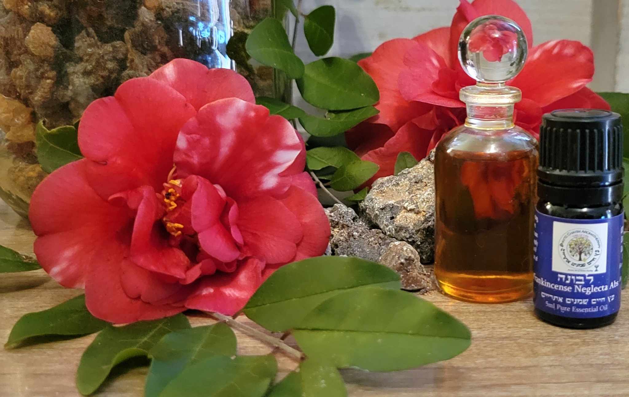 Frankincense Boswella Neglecta Absolute 5ml RARE