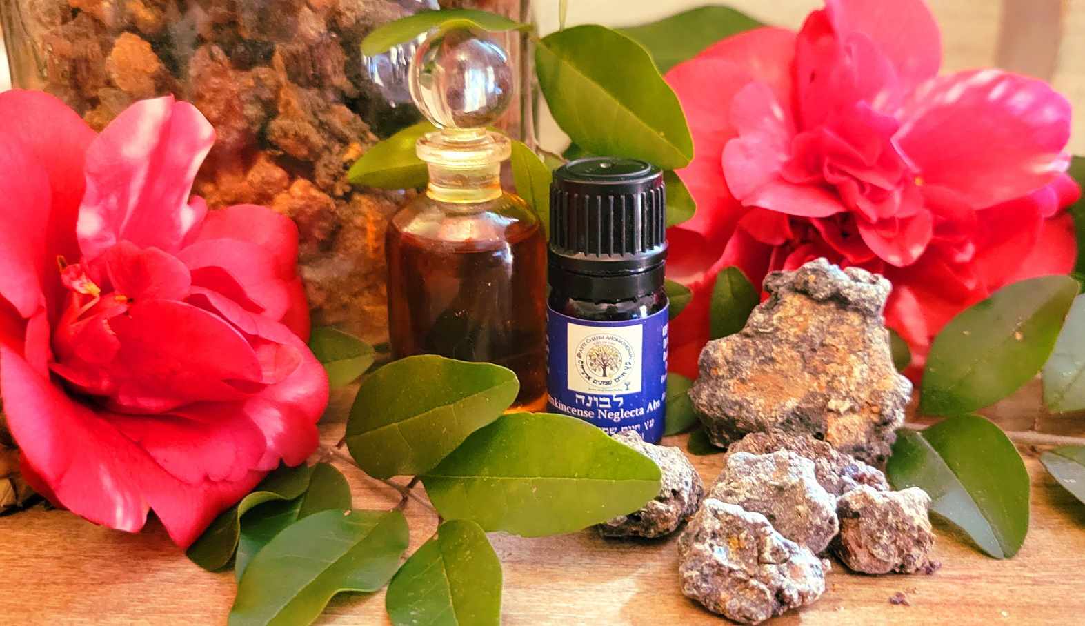 Frankincense Boswella Neglecta Absolute 5ml RARE - Image 2