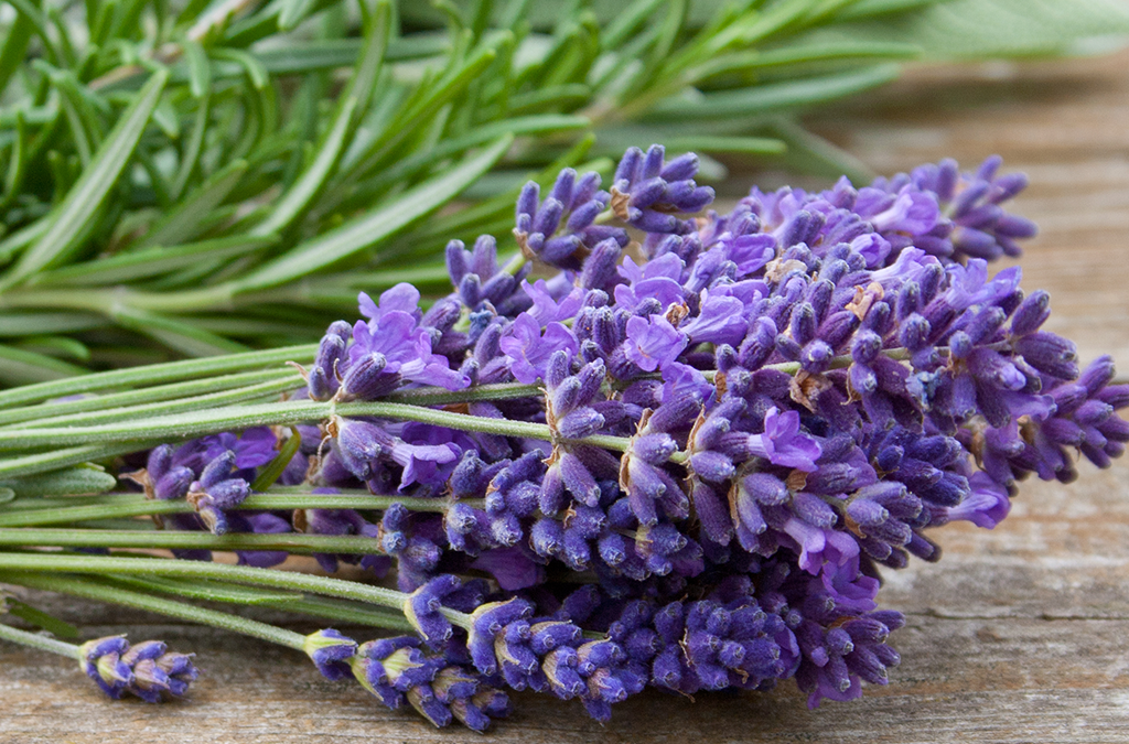 Enhanced Efficacy The Power of Combined Potency of Herbs and Oils