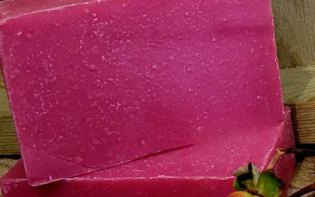 Cranberry, Citrus, and Spice Body Soap 3.5 oz Bar Made with Israel Spices