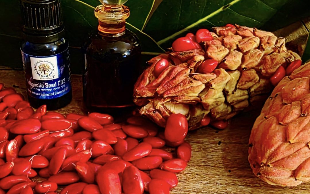 Magnolia Flower Seed Supercritical CO2 Essential Oil 10ml RARE
