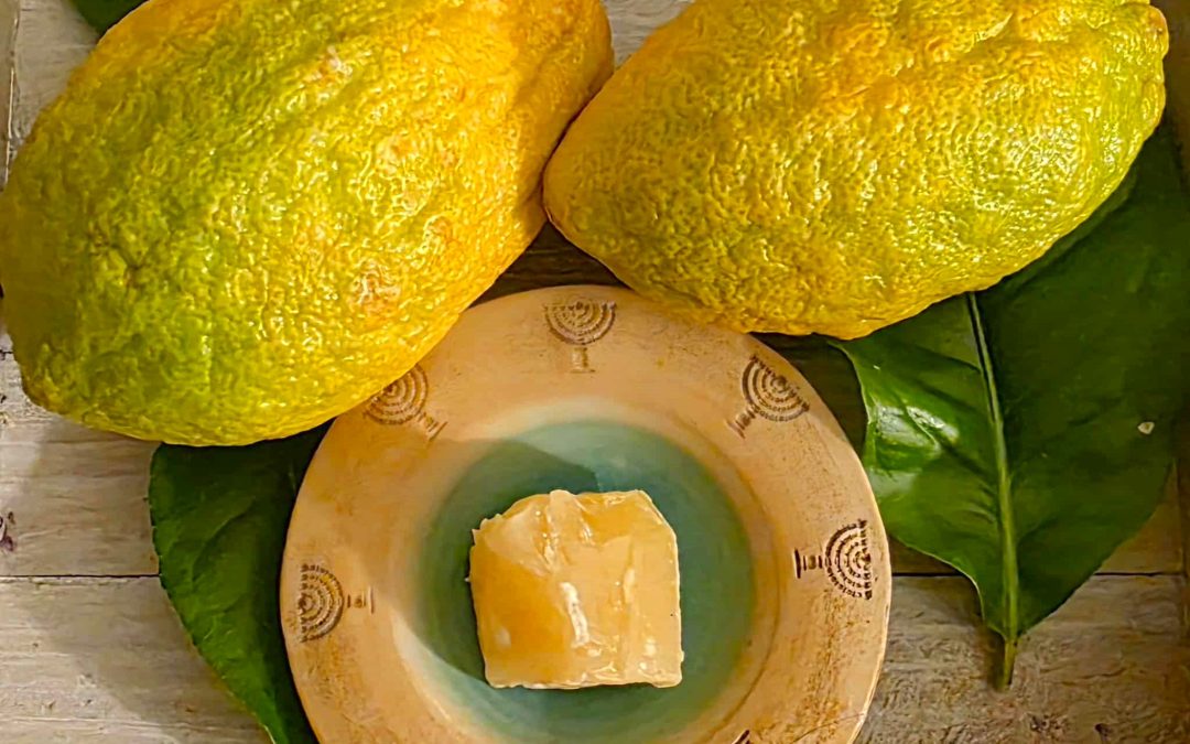Etrog Citron Peel Botanical Wax Come in 1 oz Violet Miron Jar Artisan Produced in Israel