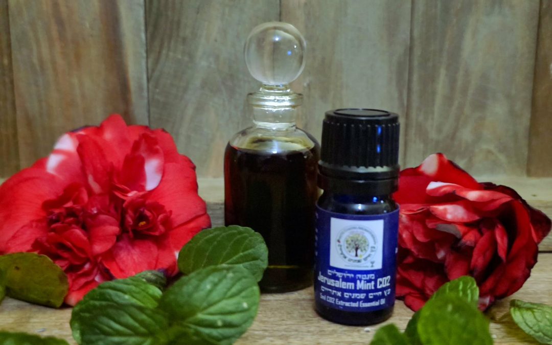 Jerusalem Mint-CO2 High Quality Essential Oil 5ml Israel