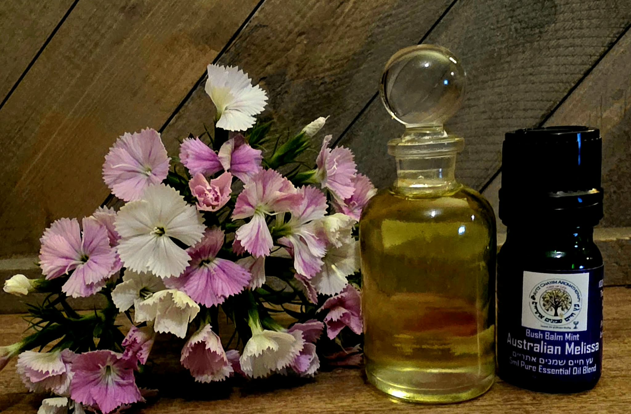 Australian Melissa High Quality Essential Oil Known as Balm Mint Bush 5ml Prostanthera melissifolia