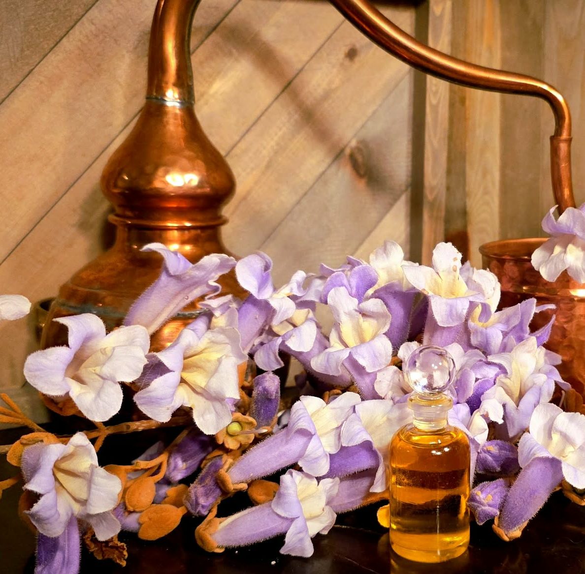 Empress Princess Tree Flower (Paulownia) Essential Oil 2.5ml Extremely Rare (A ONE TIME OFFER)