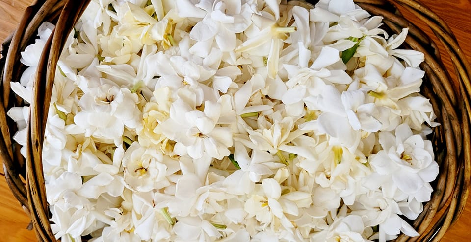 Saffron Gardenia Perfume A Song of Solomon Inspiration Aroma By Rivka Sari 10ml - Image 5